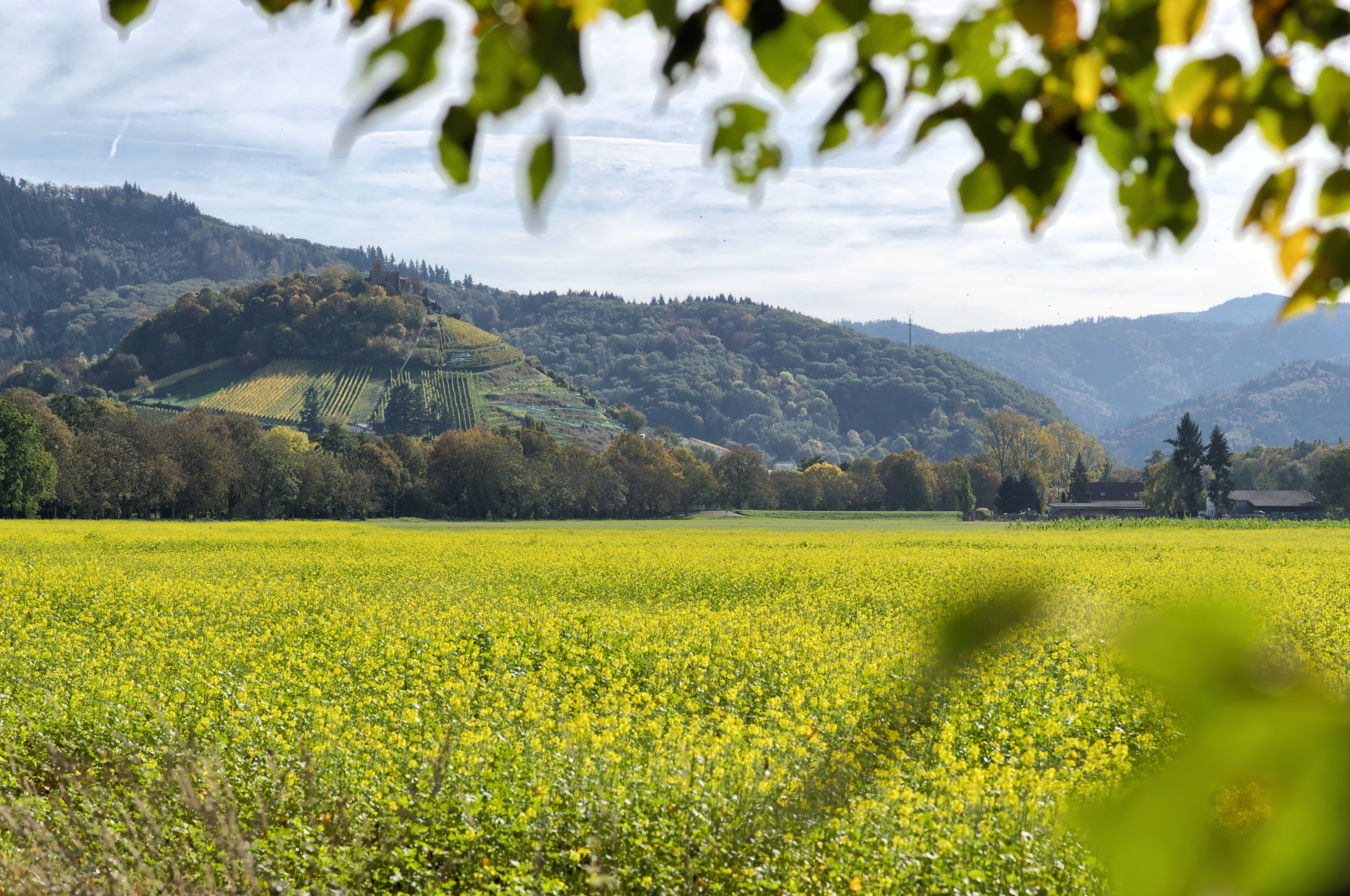 Wandern rund um Staufen