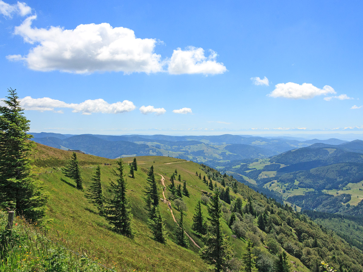 Ausblick vom Belchengipfel